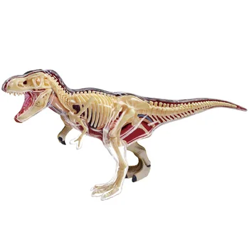 4D חזון טי-רקס (שלד שלם) מודל האנטומיה של היורה. הדינוזאורים חיות נתוני פעילות דגם קישוט סימולציה לילדים מתנת צעצוע