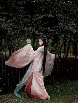 אסתטי הפייה המקורי Hanfu הנשי החזה-אורך האן אלמנטים טאנג סגנון גדול שרוול החולצה רקמה Khov חליפת חצאית
