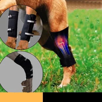 מחמד מגיני ברכיים תמיכה הסד על הרגל מפרק הקרסול לעטוף הגנה על הכלב מפרק תחבושת לעטוף כלבלב ציוד רפואי כלב אביזרים