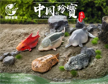סיני האוצר מודל בעלי חיים בסכנת הכחדה להבין אספן דגים קישוט עיצוב Oenaments צעצוע ילדים מבוגרים ילדים מתנה