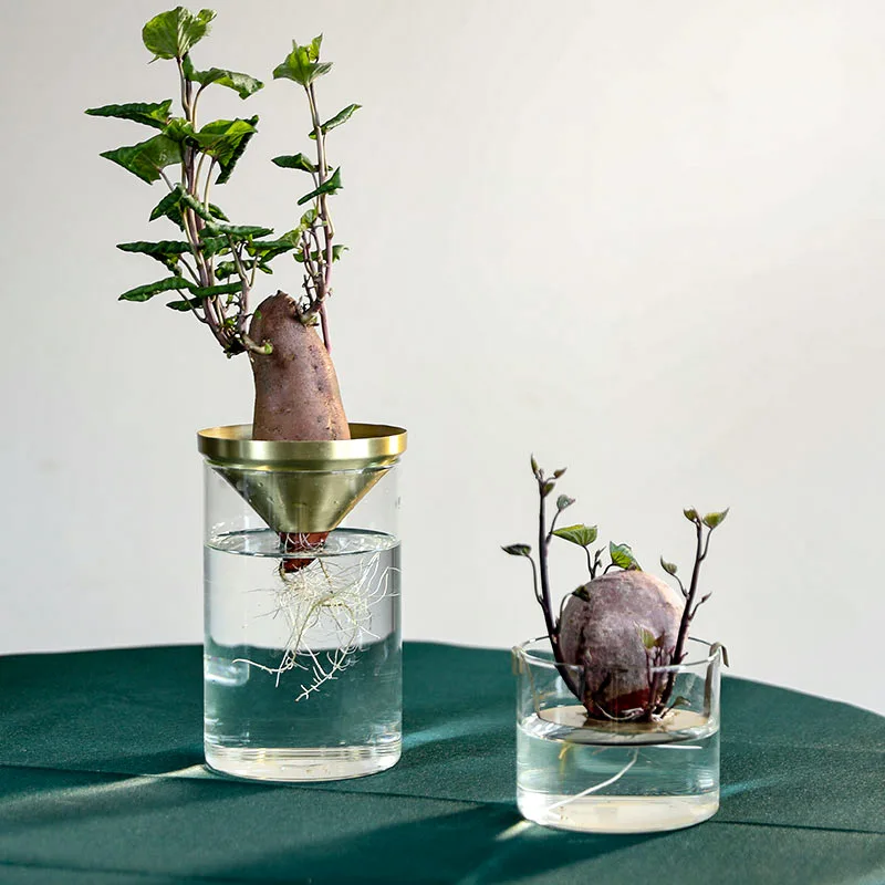 פרח, אגרטל זכוכית מודרני מינימליסטי ההגירה סגנון קישוט DriedNordic הסלון יצירתי שקוף, פה קטן נחושת המכשיר - 1