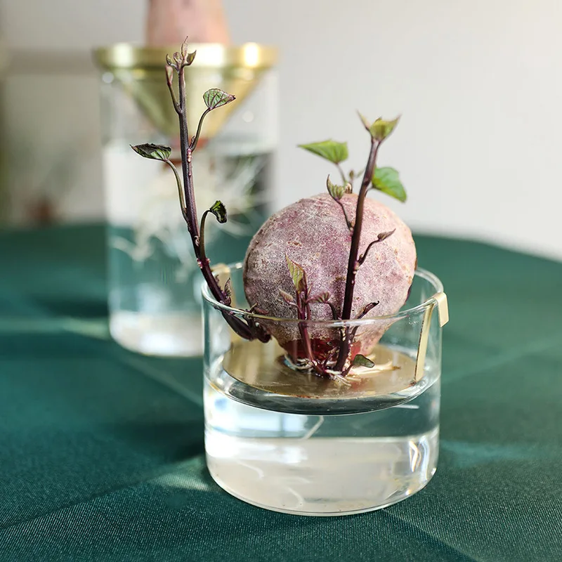 פרח, אגרטל זכוכית מודרני מינימליסטי ההגירה סגנון קישוט DriedNordic הסלון יצירתי שקוף, פה קטן נחושת המכשיר - 2