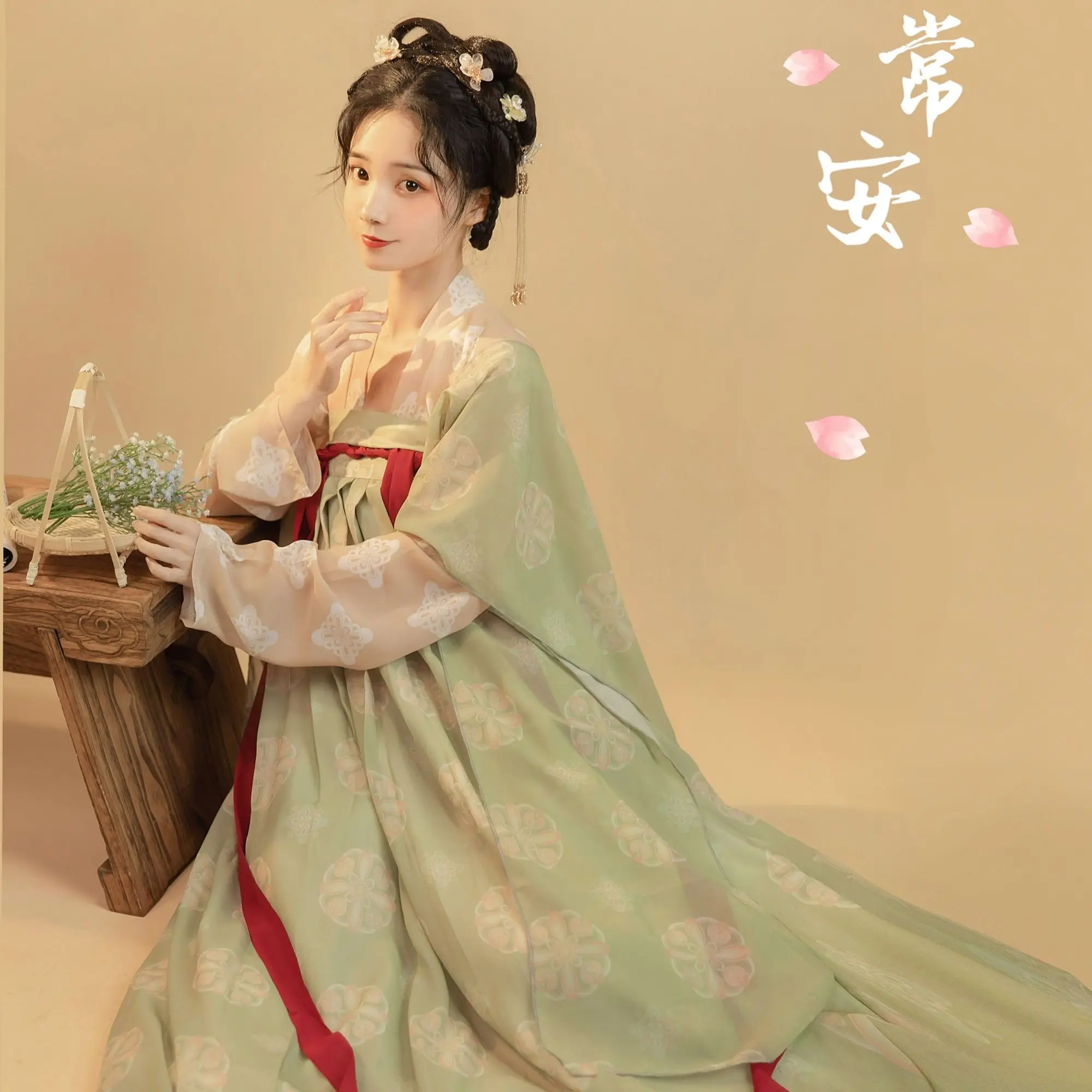 פרחים Hanfu סינית מסורתית נשים פיית תחפושות רטרו שושלת טאנג Cosplay הבמה ללבוש בקיץ - 2