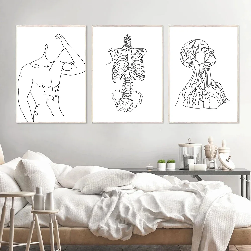 תקציר שלד אנושי פוסטר הגוף הגברי קו ציור קנבס הדפסה האנטומיה האנושית קיר אמנות ציור תמונות הרופא עיצוב משרד - 2
