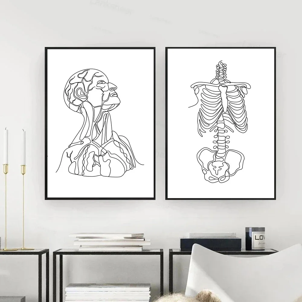 תקציר שלד אנושי פוסטר הגוף הגברי קו ציור קנבס הדפסה האנטומיה האנושית קיר אמנות ציור תמונות הרופא עיצוב משרד - 3