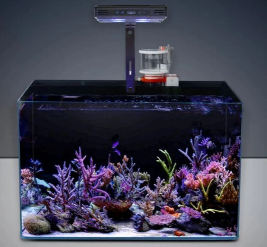 אקווריום מי ים האלמוגים אור 30W 52W הים זריחה שקיעה ספקטרום מלא LED-ים הגליל. האלמוגים בים צינור אור המנורה קלאמפ - 5